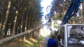 O PP critica o mal estado en que se atopa o mobiliario urbano de Ribadeo e a falta de limpeza nas rúas e outros espazos públicos da vila