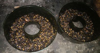 O SLG oponse ao contrato para o sector lácteo defendido polo Ministerio porque deixa indefensas as granxas fronte ás industrias