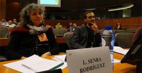 A vespa velutina pode poñer en perigo a seguridade alimentaria de toda Europa