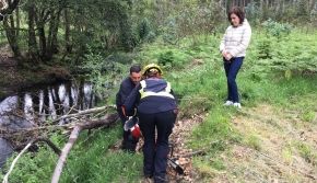 A concellería de servizos sociais de Burela organiza unha viaxe a Noreña o 29 de abril para veciños e veciñas empadroad@s maiores de 55 anos