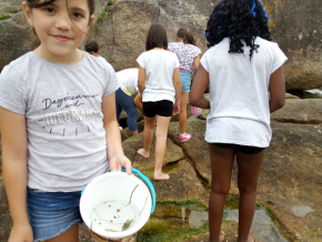 As monitoras do Centro de Educación Medioambiental Gaia realizaron hoxe unha actividade denominada A un paso do sendeiro