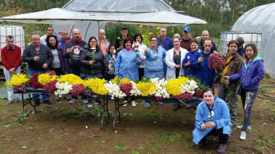 Este luns darán comezo en oito concellos da Mariña tres obradoiros de emprego que supoñen a contratación de 73 persoas