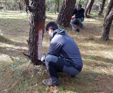 A Educación en Habilidades para a Vida chegará durante o curso 2018-19 a 150 alumnos e alumnas dos CEIP de A Pontenova, Barreiros, Ribadeo e Trabada, a través do programa de prevención de drogodependencias e outros trastornos adictivos da Concellaría ribadense de Servizos Sociosanitarios