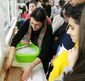 A Unidade Móbil de Axuda Coas Reclamacións colocarase na entrada principal do Centro de Saúde de Burela para informar a usuari@s, profesionais e colectivos de todo o que precisen en materia de tempos de agarda, derivacións e calquera outra dúbida que teñan