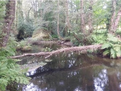 O Merca e Gaña polo Nadal da Deputación recada 1,9 millóns no comercio da provincia, un 18% máis que o ano anterior