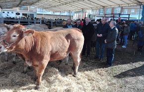 Exito da concentracion de Modepen Ribadeo