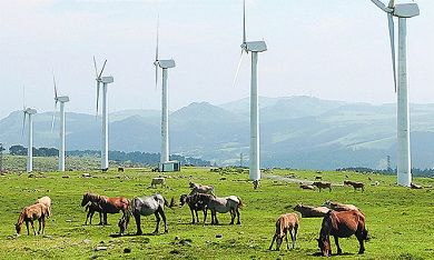 O Goberno da Deputación e QuerENDO lanzan unha pioneira campaña de divulgación sobre a endometriose