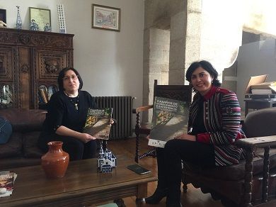 O Concello de Viveiro dá conta da situación do parque Pernas Peón