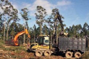 A Deputada de Economía, Recadación, Facenda e Especial de Contas, Carmela López e o Deputado de Medio Rural e do Mar e Mocidade, Daniel García, asistiron este xoves na casa consistorial de Mondoñedo ao acto de apertura das festas das San Lucas, que se celebrarán ata o 20 de outubro