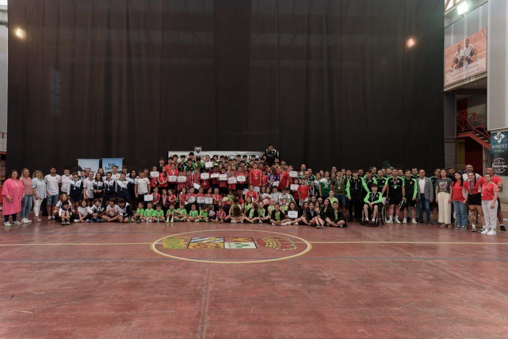 A poboación de gaivotas estabilízase en Viveiro trala última campaña de control