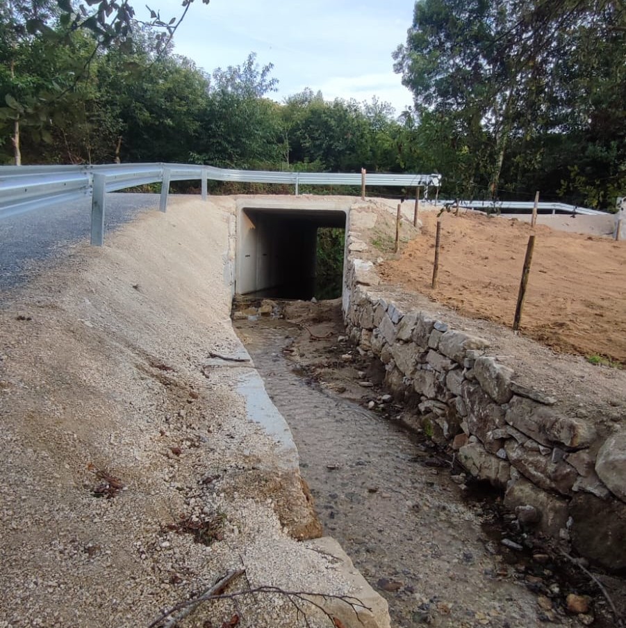 Os produtos do mar e da terra foron os protagonistas esta fin de semana de 'Ribadeo en Rede'