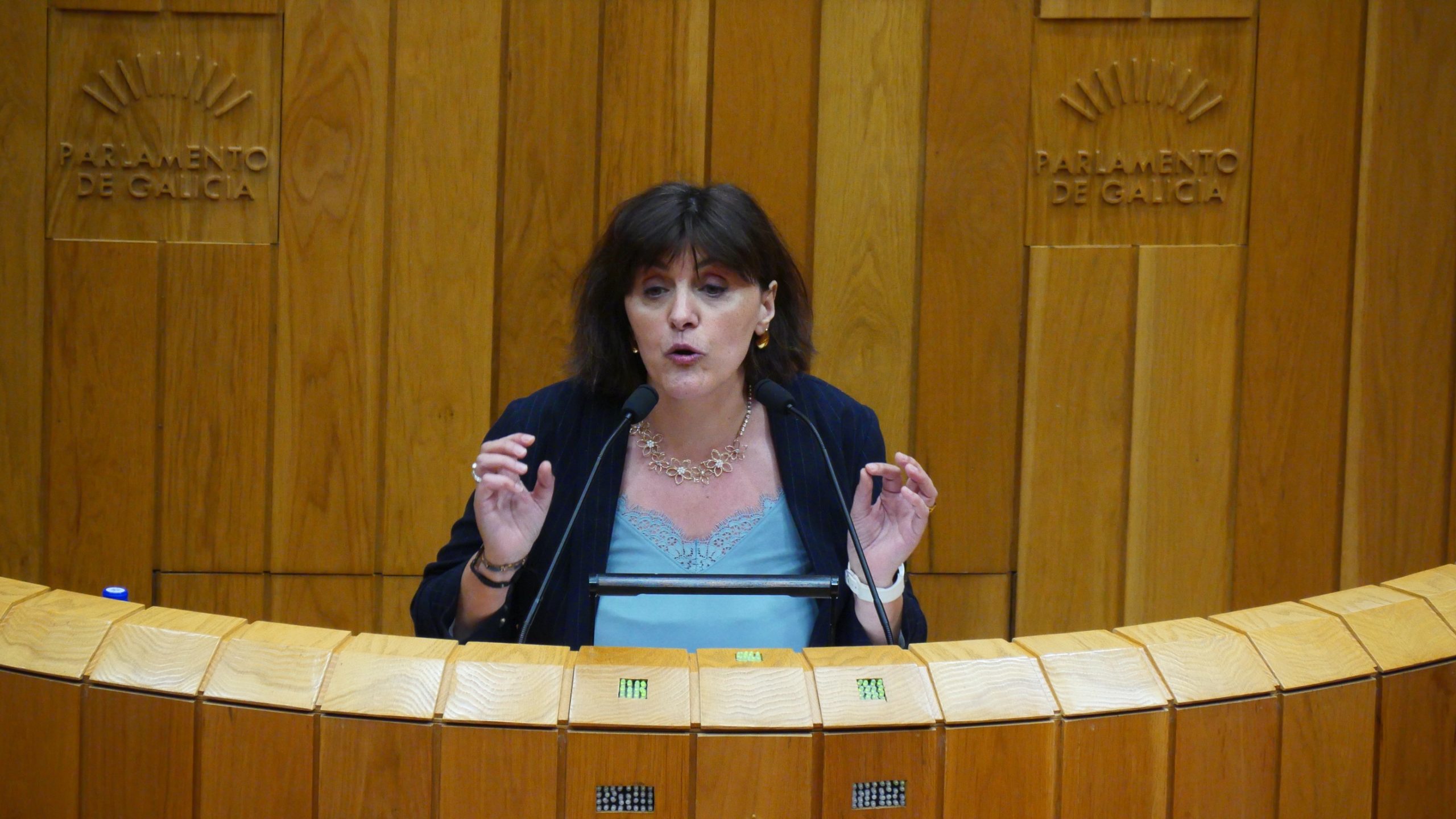 O BNG tilda de “maquillaxe política” e de “apaño” unha moratoria que abre a porta ao monocultivo de eucalipto