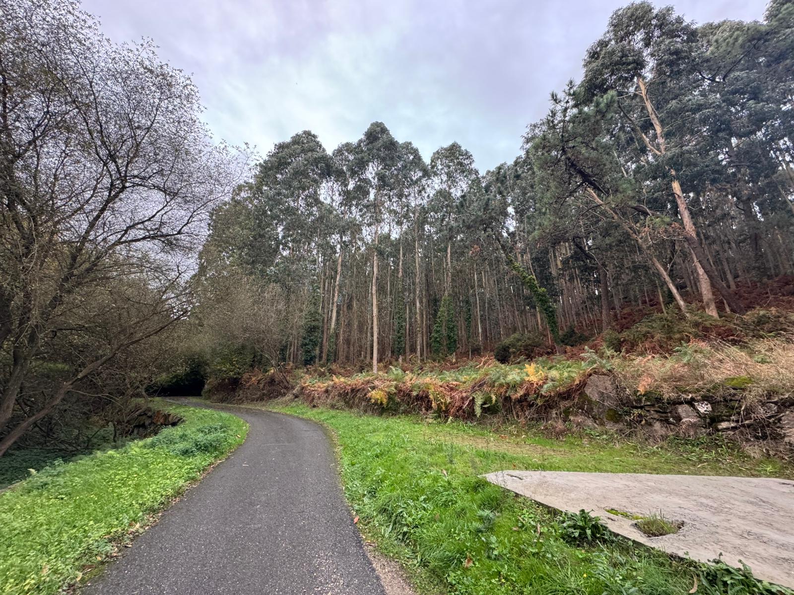 Axudas para o vaciado de fosas sépticas en Xove