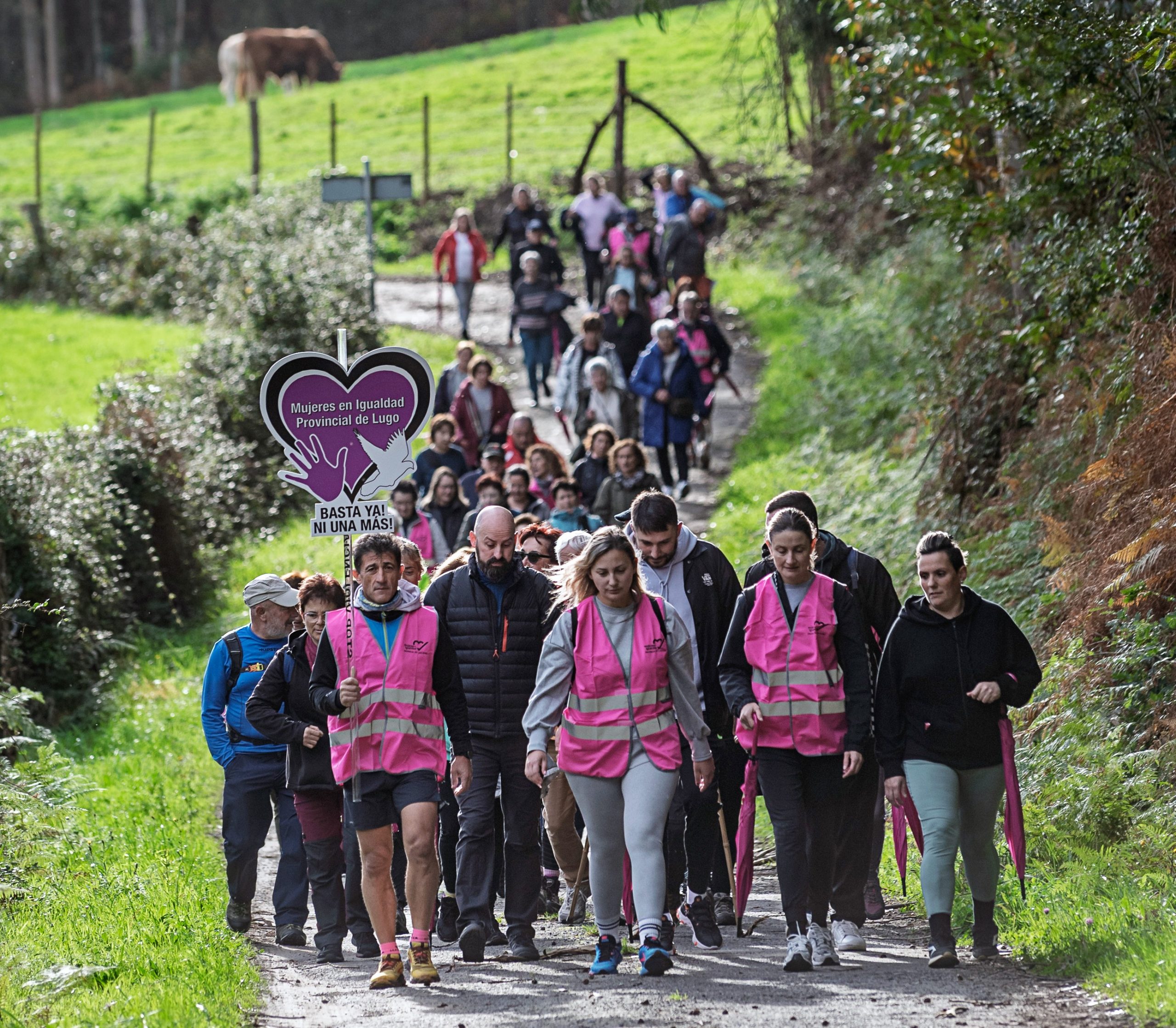 Alfoz executa melloras na grada principal do campo de fútbol municipal