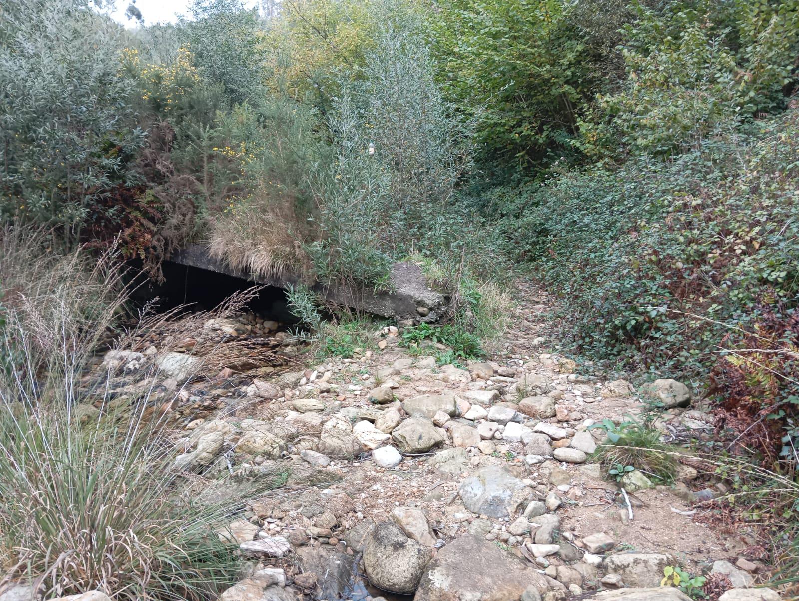 A Bomboneira consegue o empate sobre a bucina (2-2)