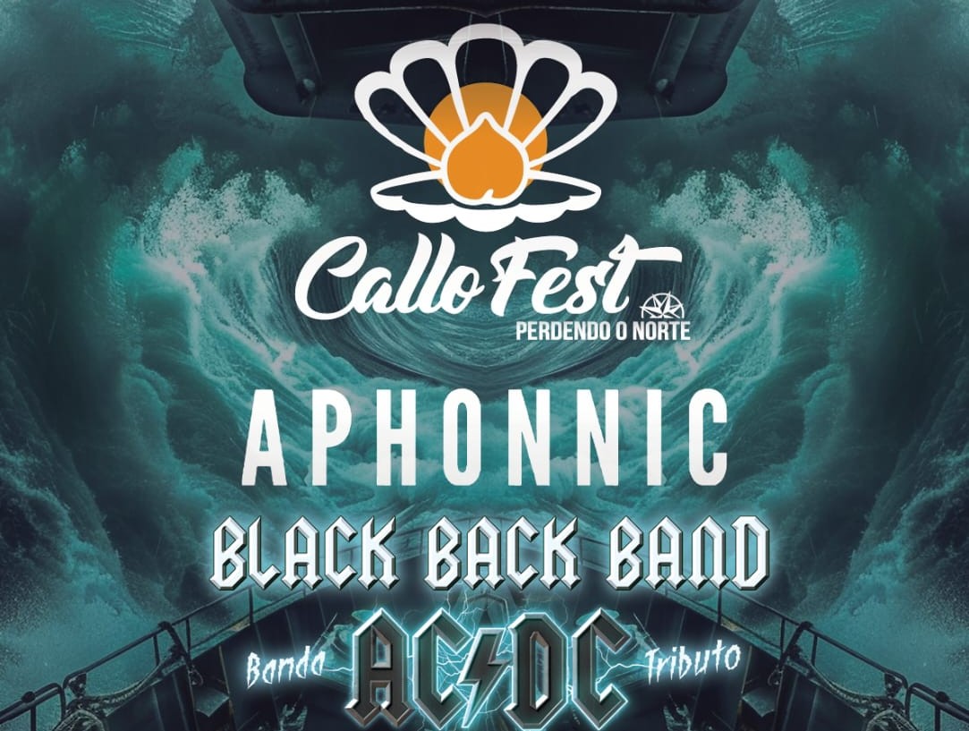 A moción presentada polos socialistas de Viveiro para completar a mellora da rúa do Porto aprobouse por unanimidade