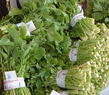 A Consellería do Medio Rural organiza en Abadín unha acción formativa sobre o cultivo de grelo