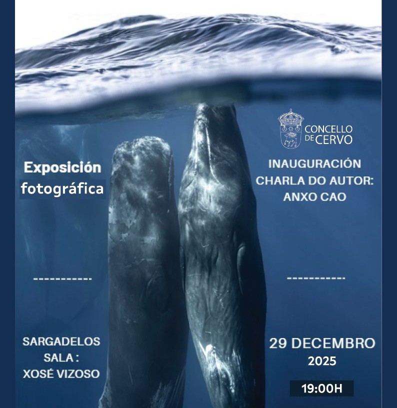 Un ciclista perde a vida en Foz mentres circulaba pola N-642