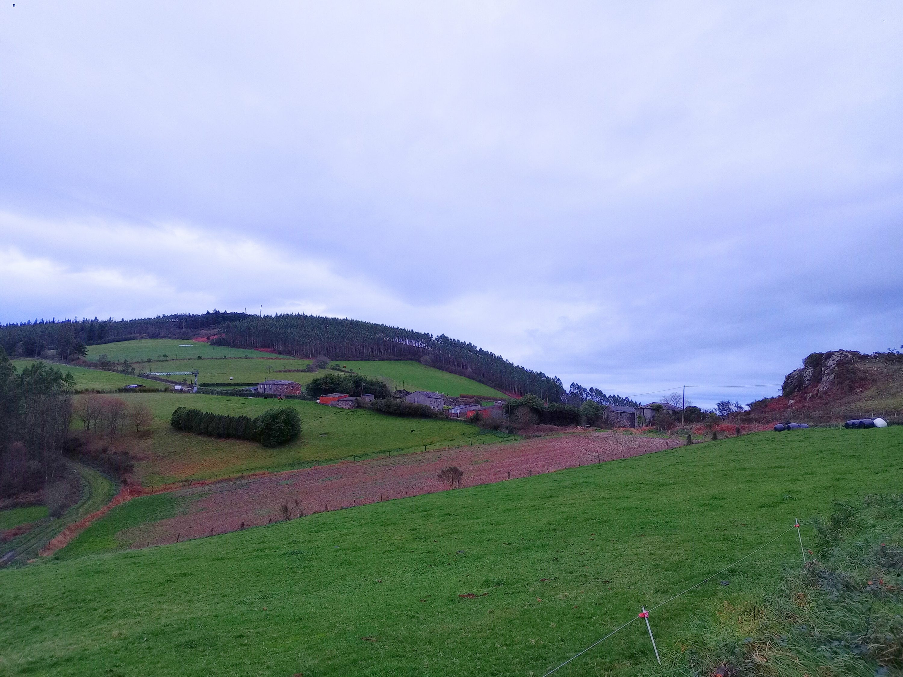 Mariña Gueimunde defende o concepto de innovación ligado ás necesidades reais da cidadanía nas xornadas de Plans Locais de I+D+i