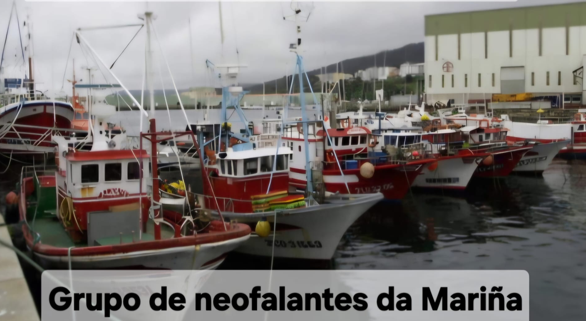 Burela acolle este venres un paseo literario dedicado á obra de Antía Yáñez