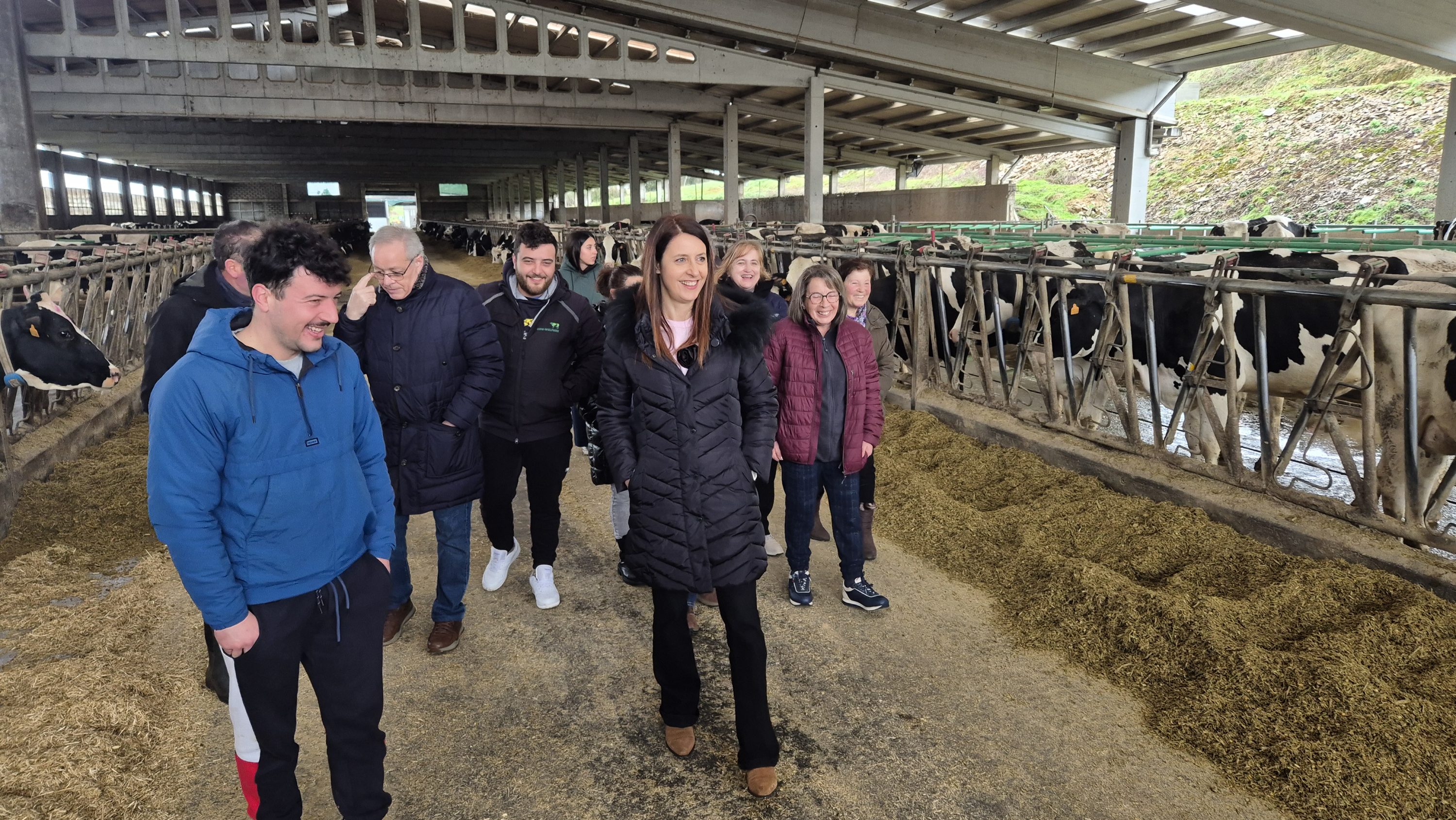 O Concello de Lourenzá pide de novo a Medio Ambiente un protocolo para actuar contra as pombas