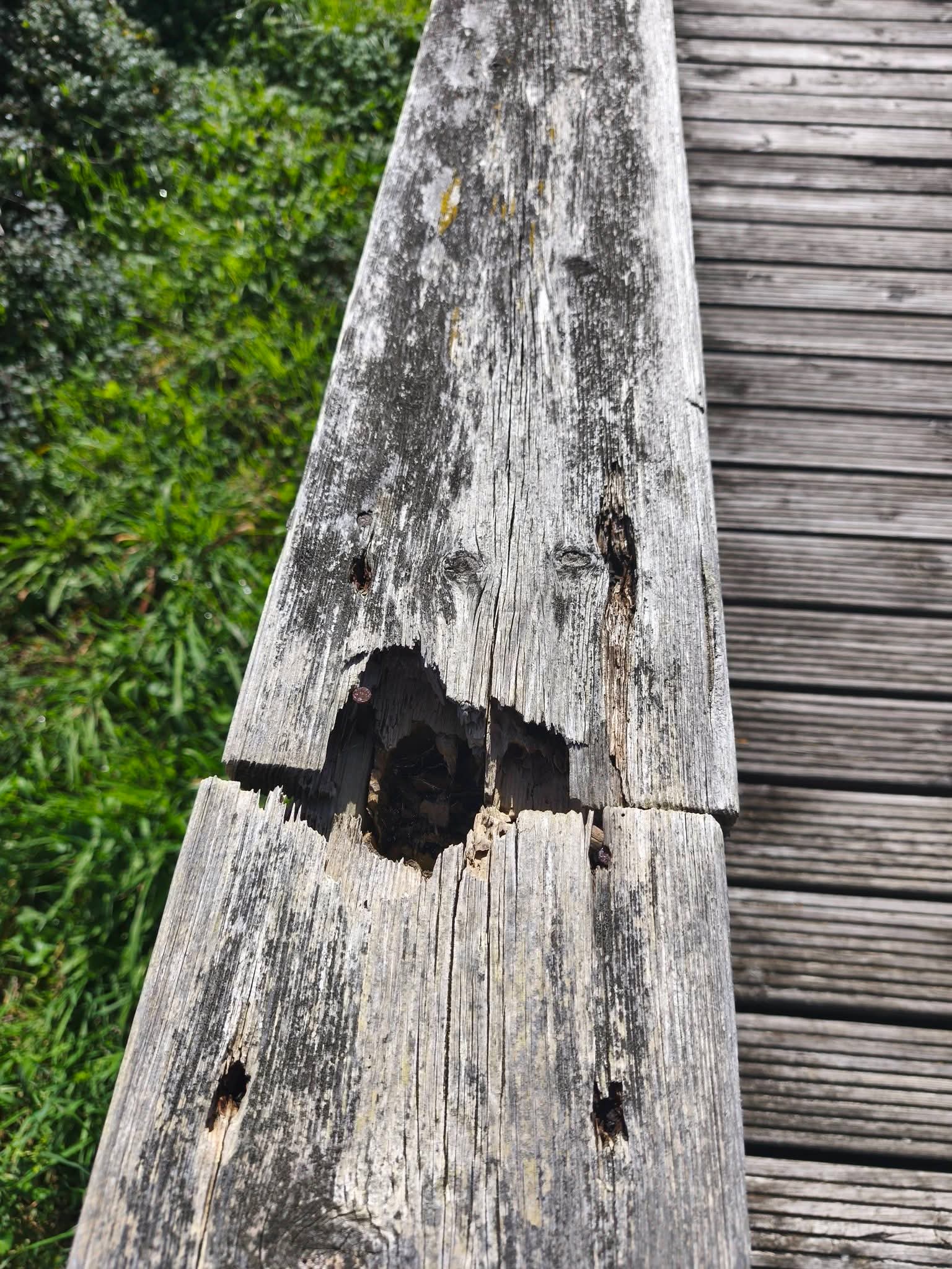 Ramona Cortiñas López celebrou o pasado 25 de febreiro o seu 103 aniversario rodeada da familia na súa casa do Pereiro, Alfoz