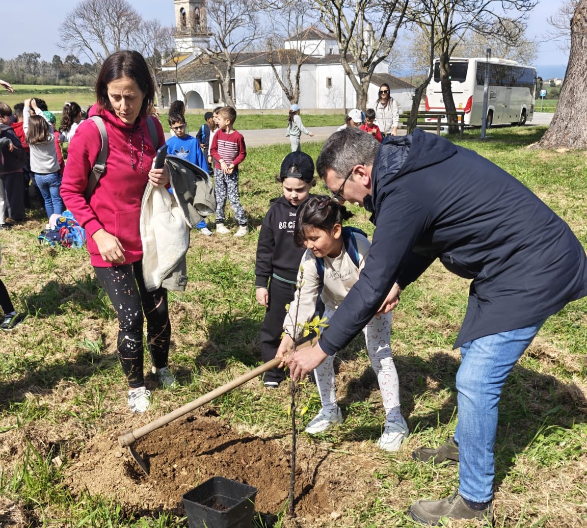 Ribadeo celebrou o Día da Árbore cos centros de ensino na área recreativa de San Roque, na Devesa
