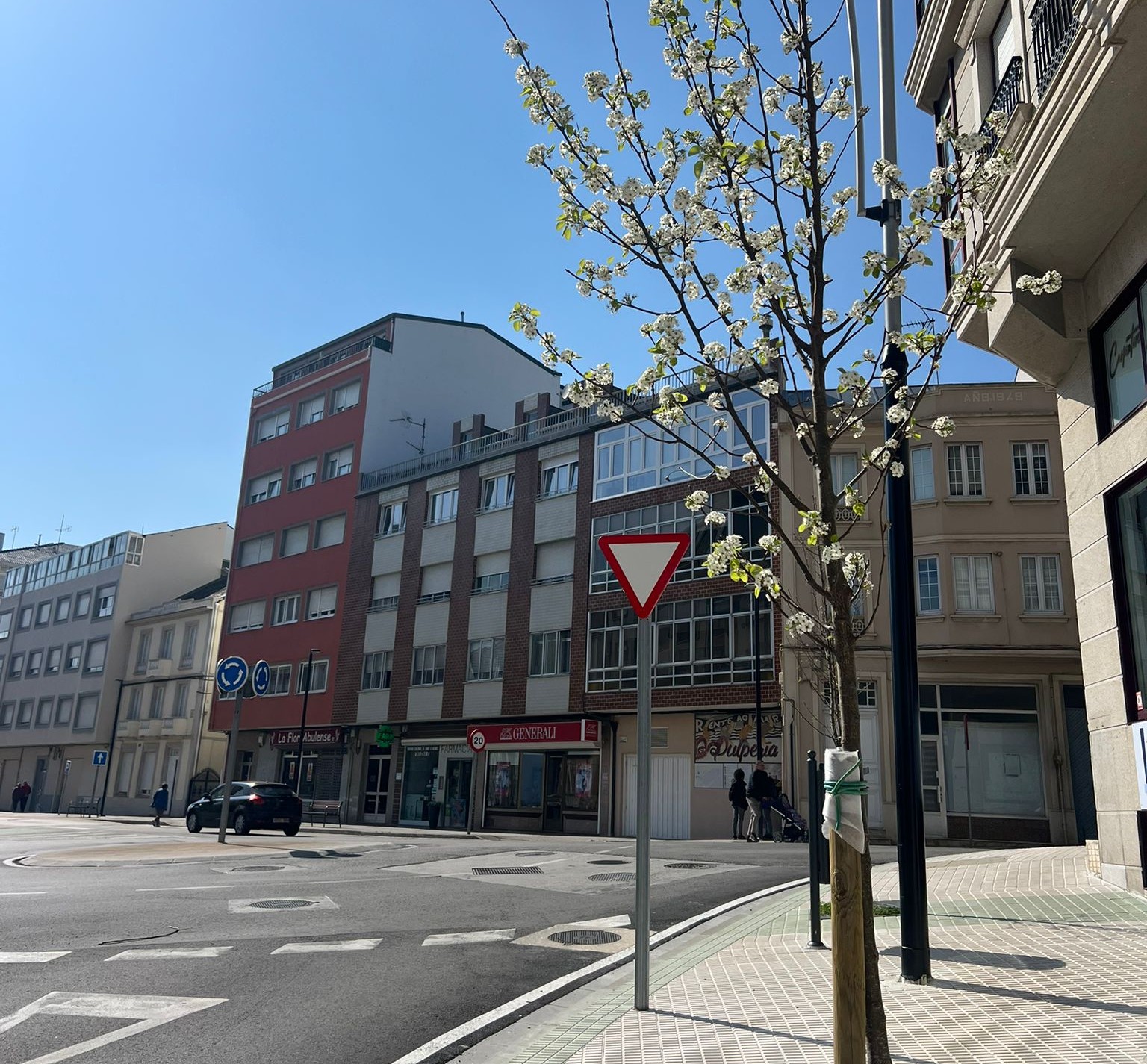 O Concello de Foz mellorará as xardineiras e as zonas axardinadas do municipio