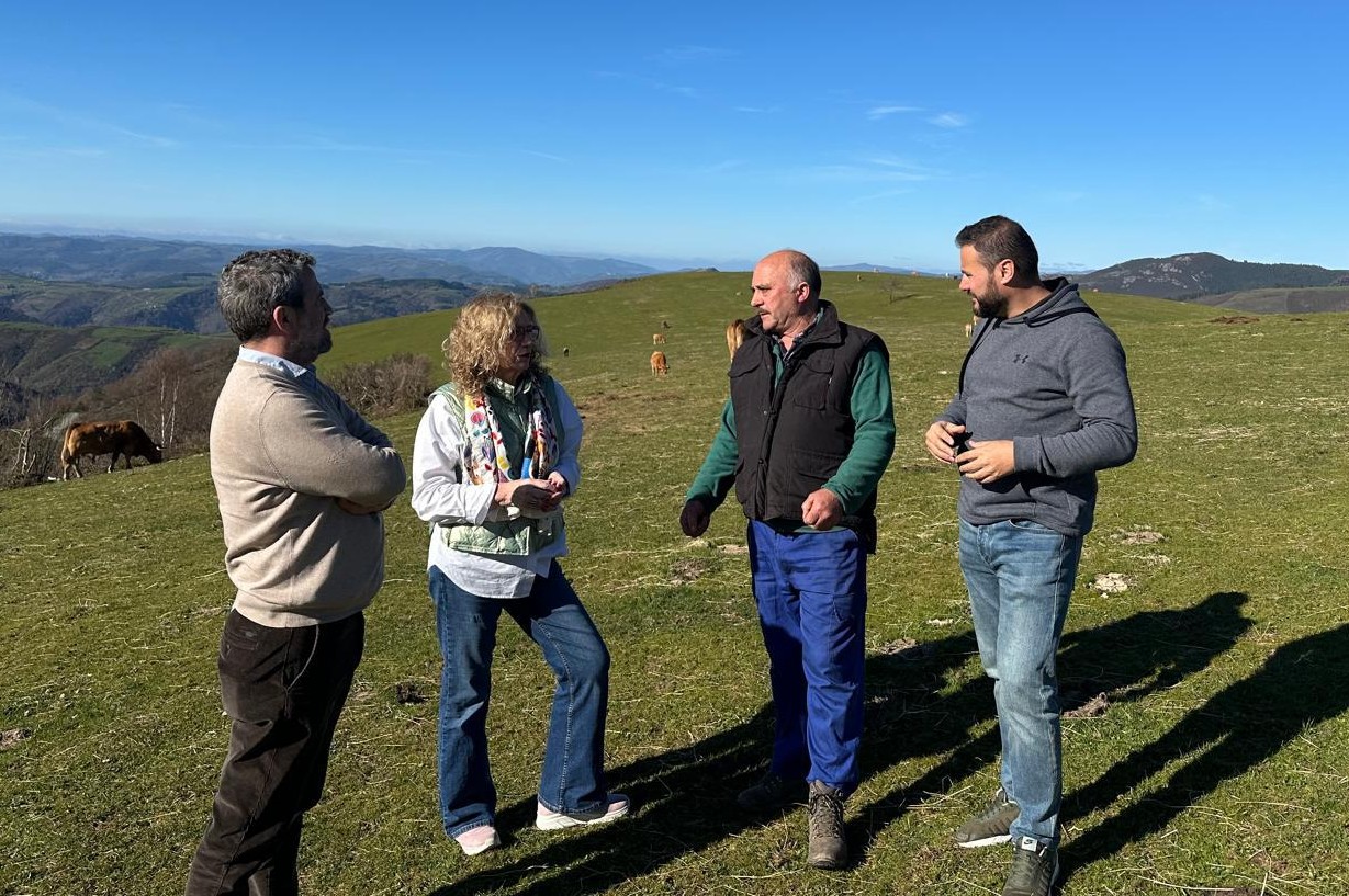 O PP denuncia que o Goberno central deixa sen axudas aos gandeiros afectados polo lobo