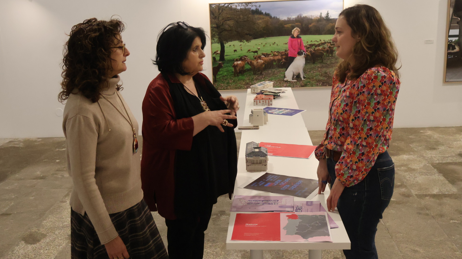 O Concello de Viveiro lembra a obriga de xestionar a biomasa antes do 31 de maio