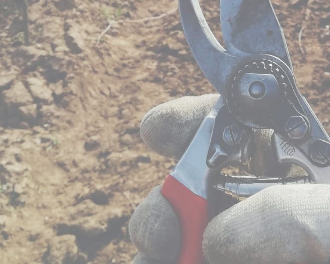 A Rede Museística afianzase como institución de referencia no apoio á creación artística feminina, cun 71 por cento de exposicións de mulleres artistas