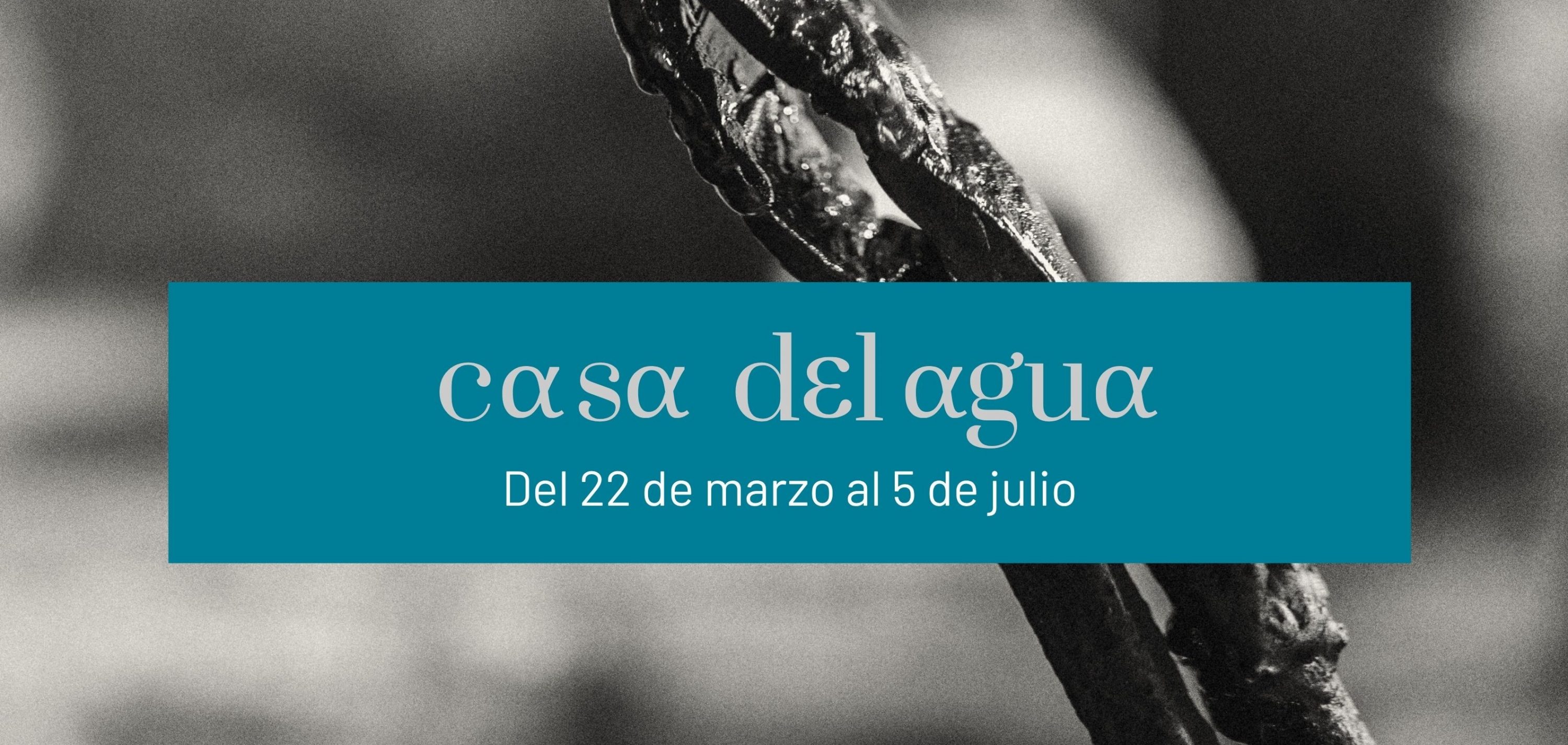A Casa da Auga de Bres celebra o Día Mundial da Auga cunha xornada de portas abertas