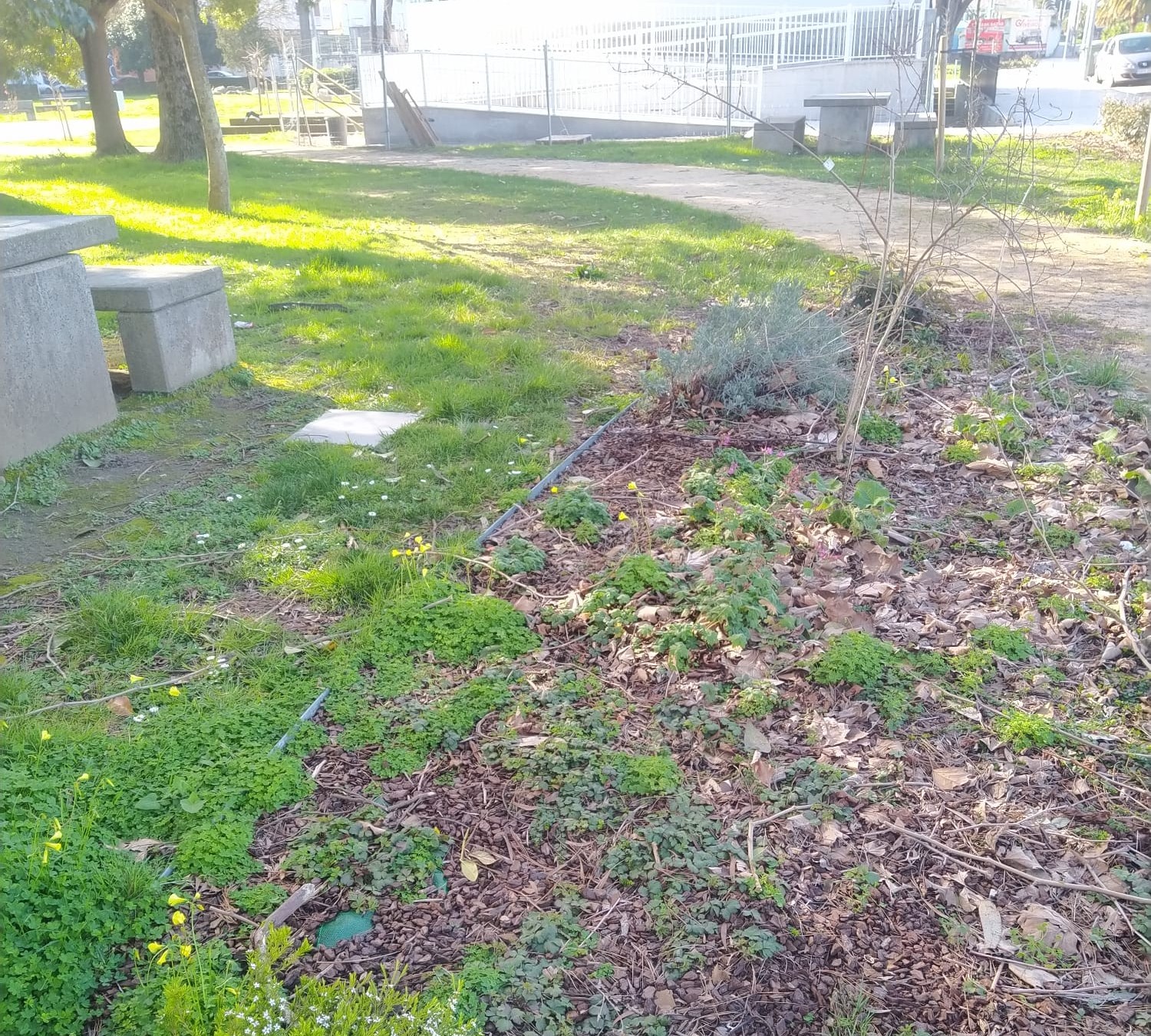 Ribadeo acolle a “Festa do Fediverso”, un encontro sobre o futuro das redes sociais