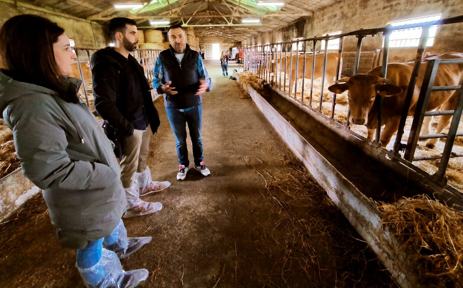 A Vicepresidencia da Deputación destinará 400.000 en axudas directas a granxas que críen razas autóctonas