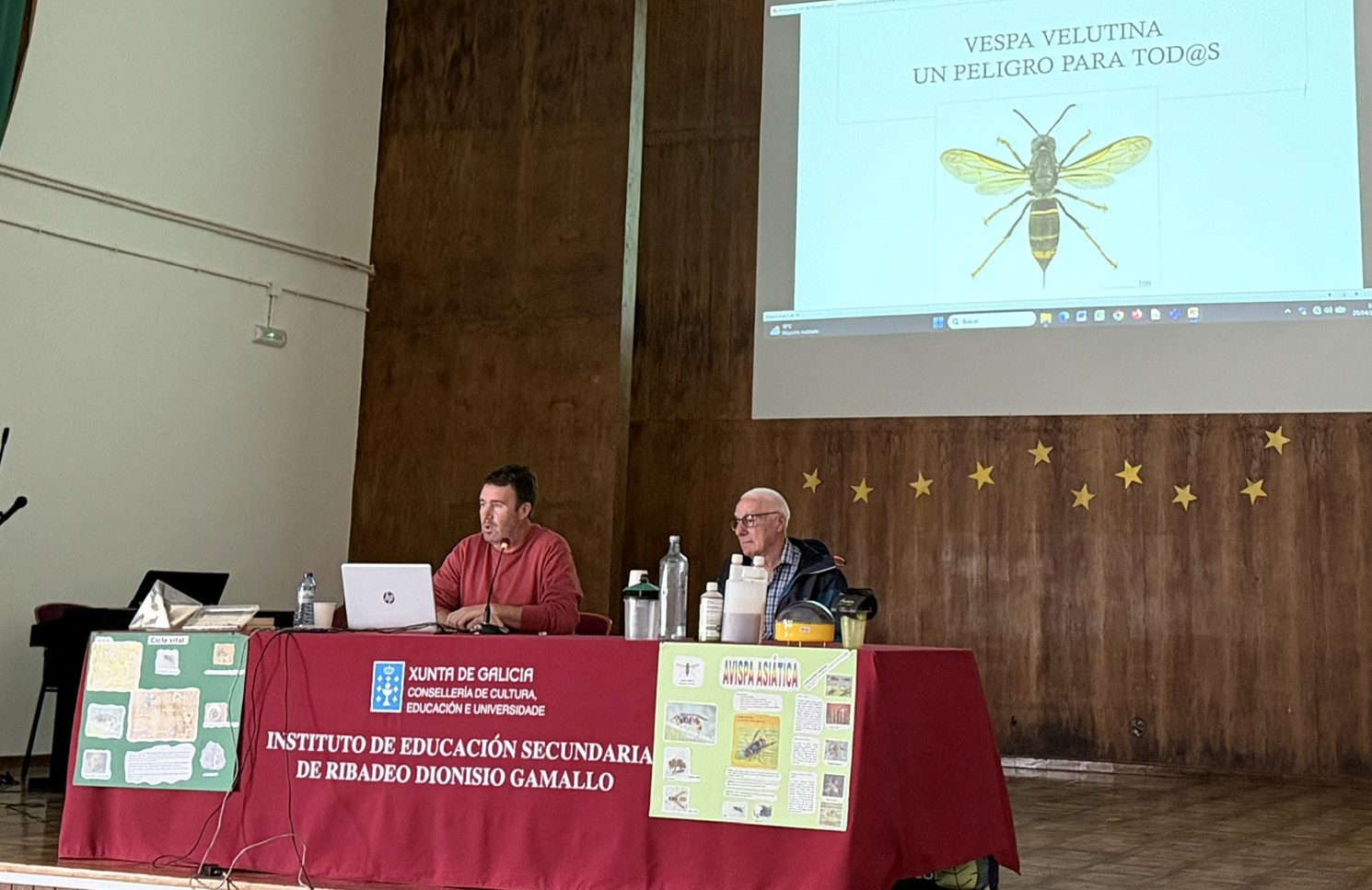 “Os Abelleiros” colabora co IES Ribadeo Dionisio Gamallo na loita contra a avespa asiática