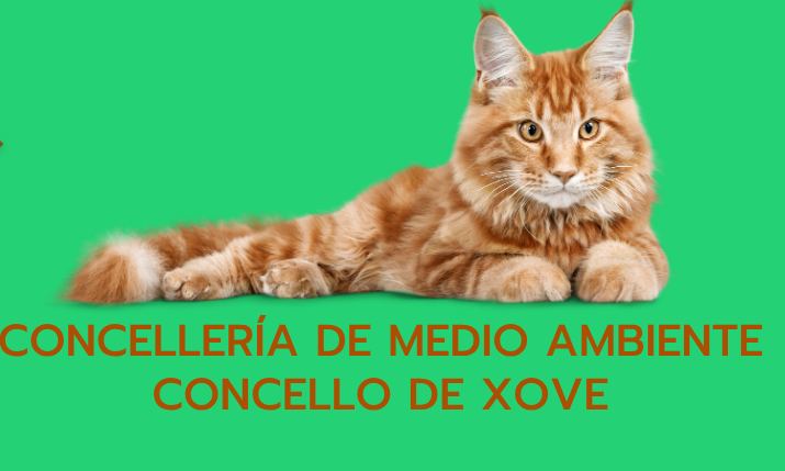 O BNG pide accións urxentes en Landrove, Celeiro e nas ordenanzas de animais e mercados