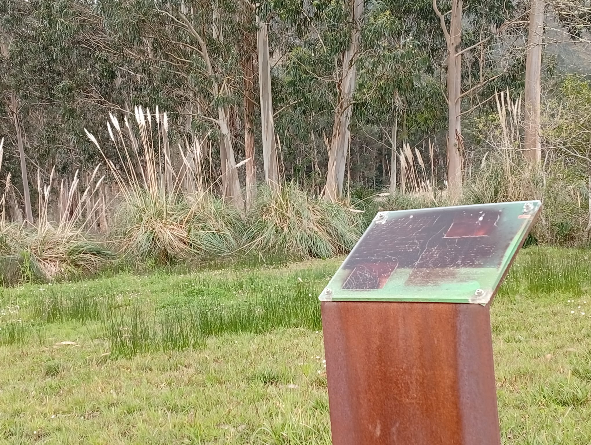 O BNG de Viveiro alerta do deterioro de Portochao e reclama unha intervención integral