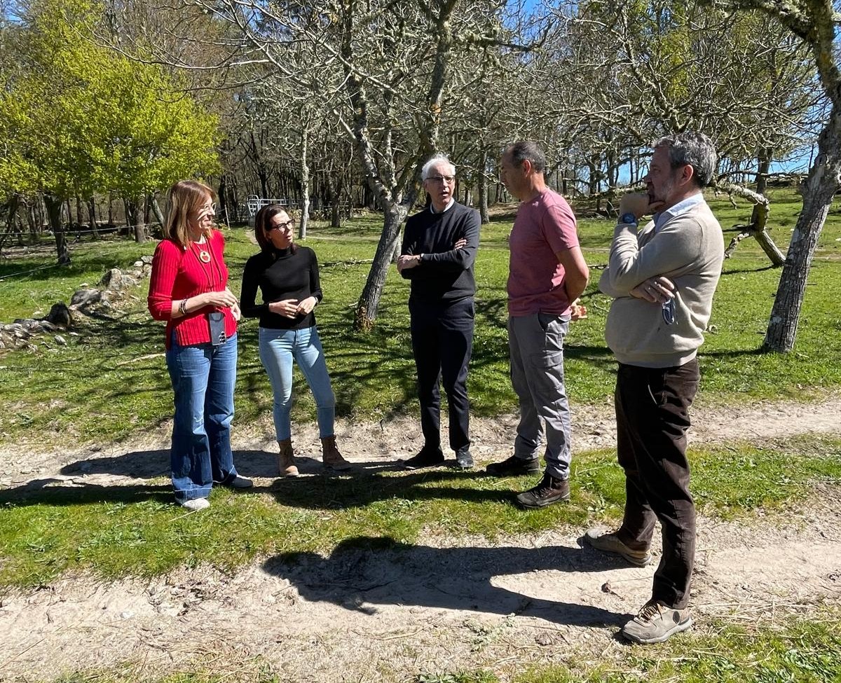 O PP lucense reclama ao Goberno de Sánchez defender “un financiamento adecuado para a nova PAC” e “a redución da burocracia para o noso sector primario”