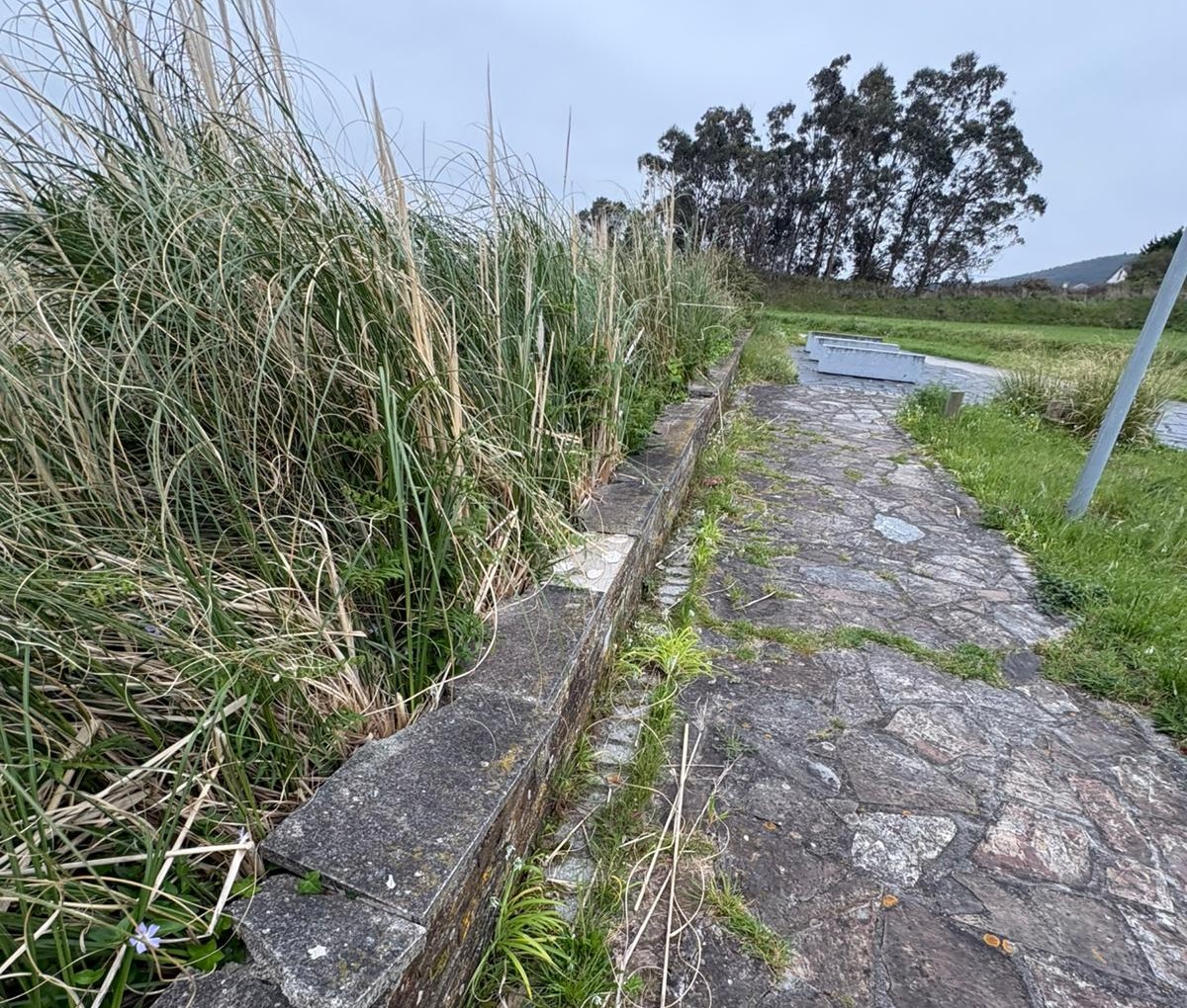 O PP de Foz denuncia a falta de mantemento nos paseos costeiros e esixe actuacións urxentes ao goberno local