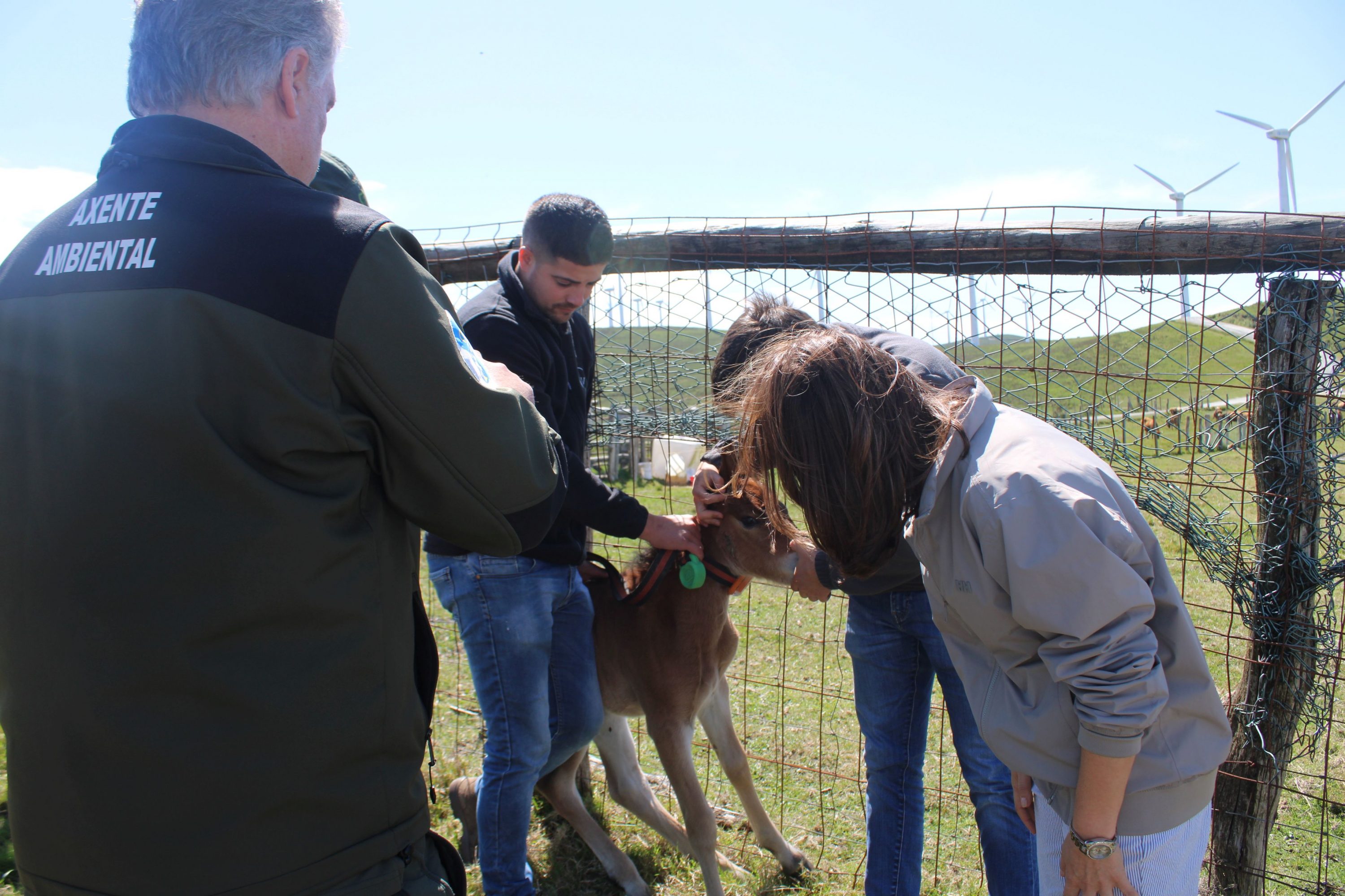 A conselleira Ángeles Vázquez denuncia en Vilalba que a postura do Goberno central sobre o lobo compromete ás explotacións gandeiras