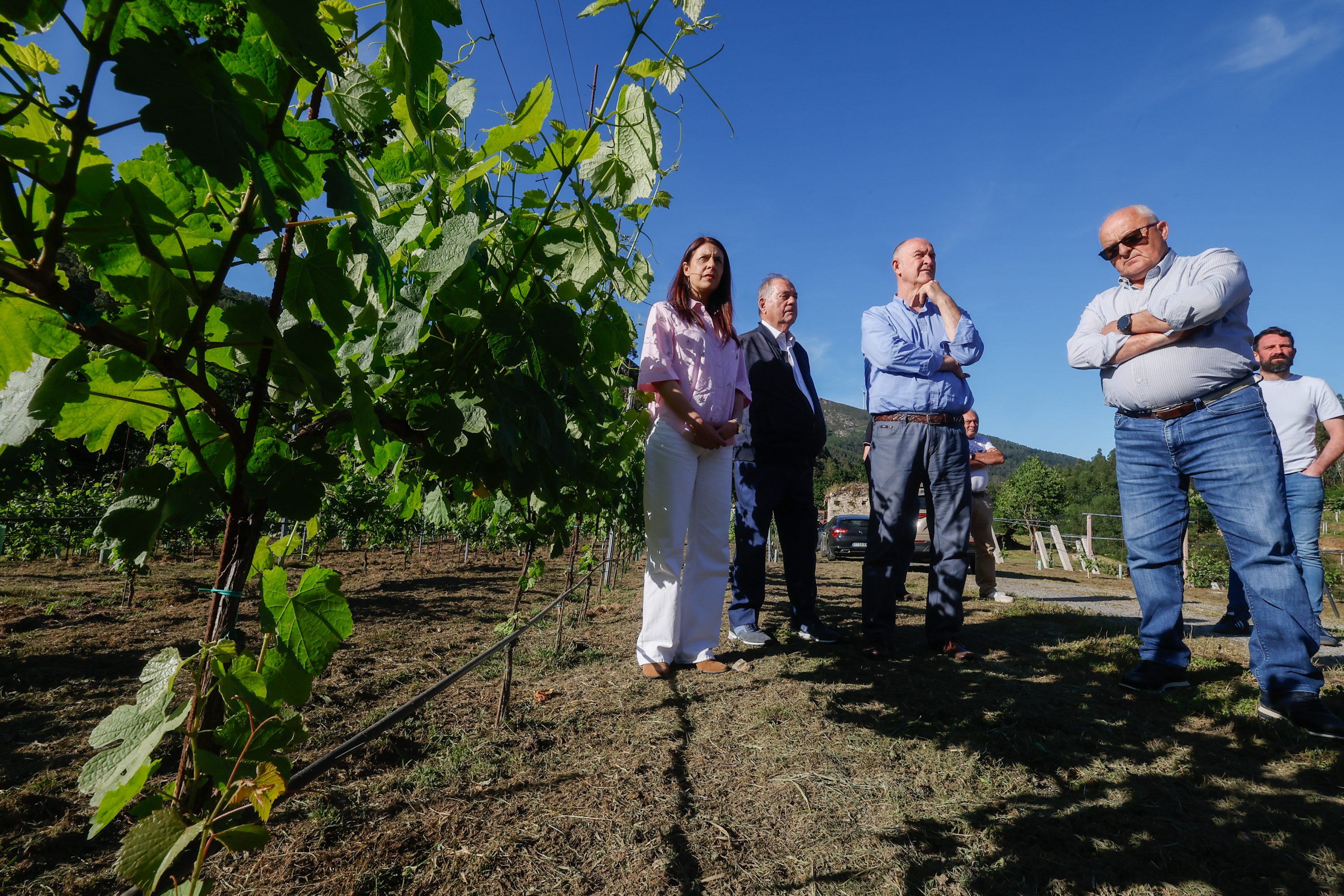 Mondoñedo presenta a XII Xuntanza de Clásicos, unha cita xa imprescindible para os amantes dos vehículos históricos