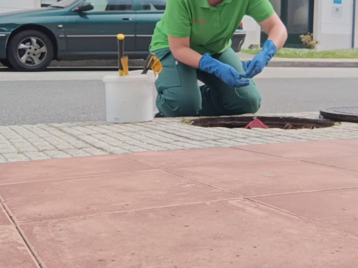 O Concello de Ribadeo realiza unha nova campaña de desratización