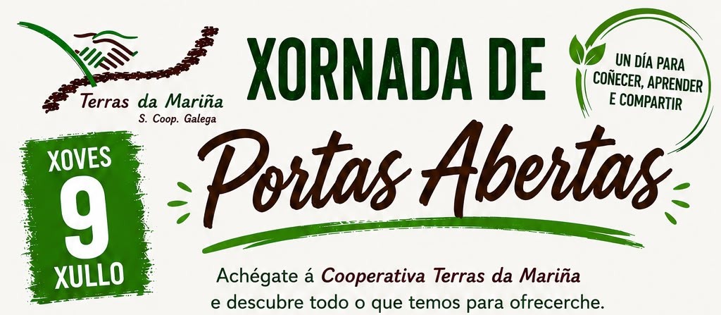 Viveiro abordará a cesión da Casa dos Mestres no pleno ordinario deste mércores