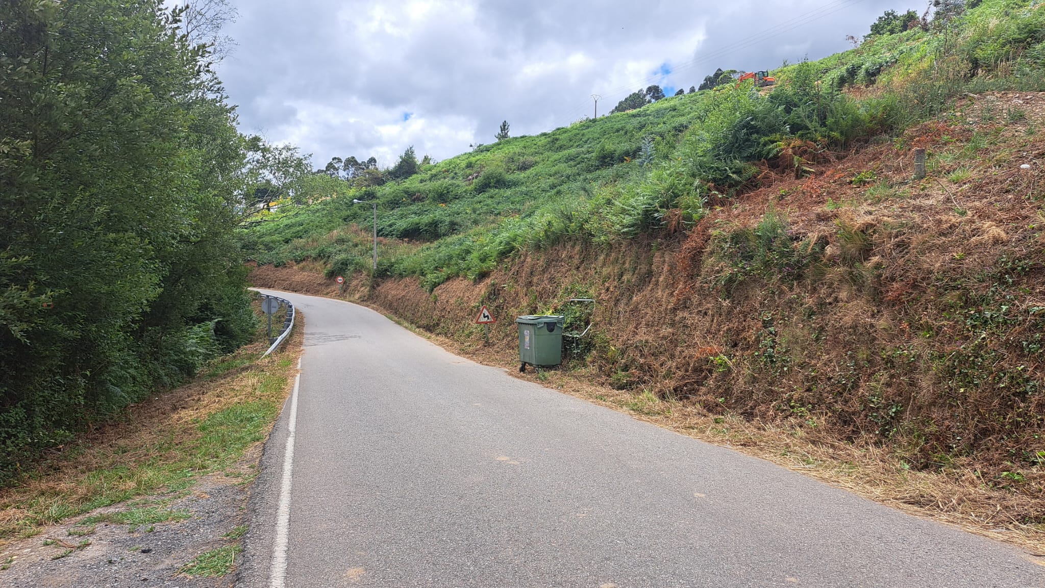 A Deputación reforza a seguridade viaria en Viveiro con limpeza anticipada