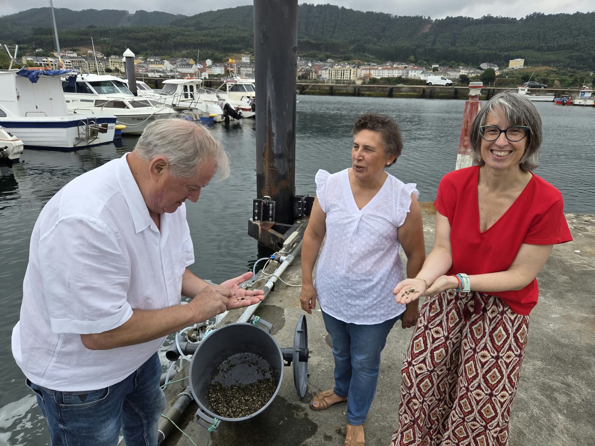 O criadoiro do Vicedo consolídase como infraestrutura clave para garantir cría de bivalvos ao sector marisqueiro
