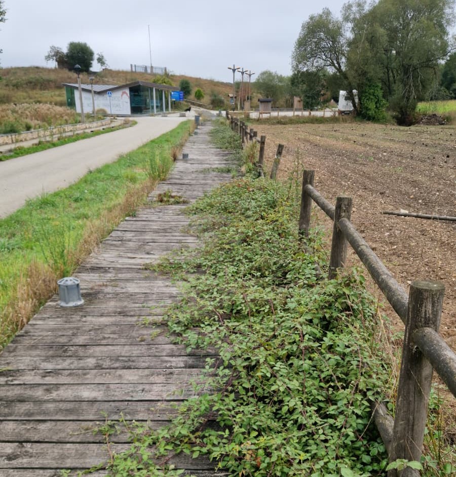 O PSdeG denuncia o abandono dos accesos á lagoa de Cospeito e esixe unha actuación urxente