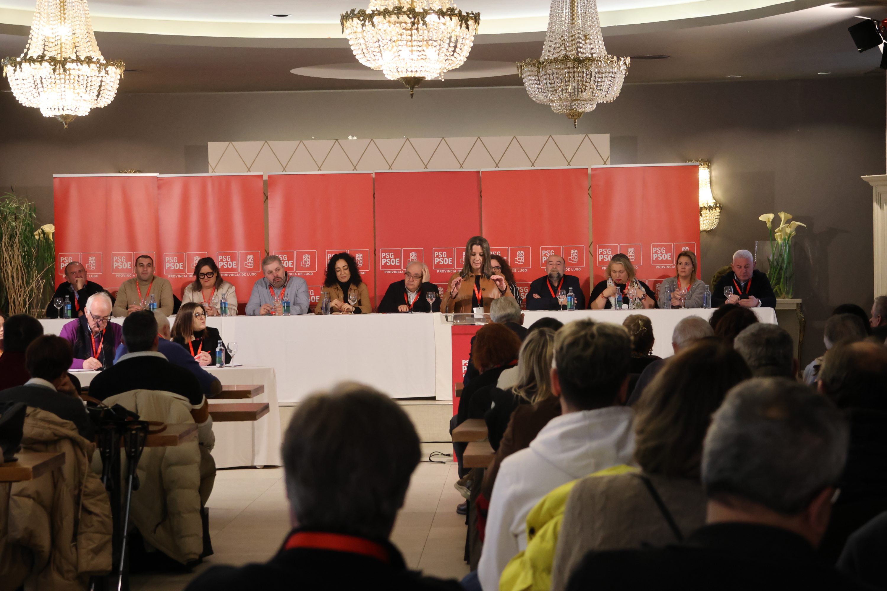 O PSdeG-PSOE da provincia de Lugo constitúe o seu Comité Electoral Provincial, coordinado por Luis Ángel Lago Lage